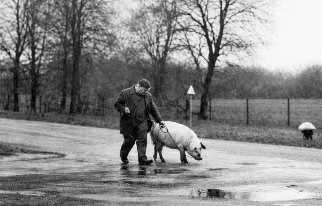 Boer met beer Fragmenten maart 2026